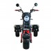 Электроскутер Citycoco WS-PRO+ trike 3000w 21ah (черный)